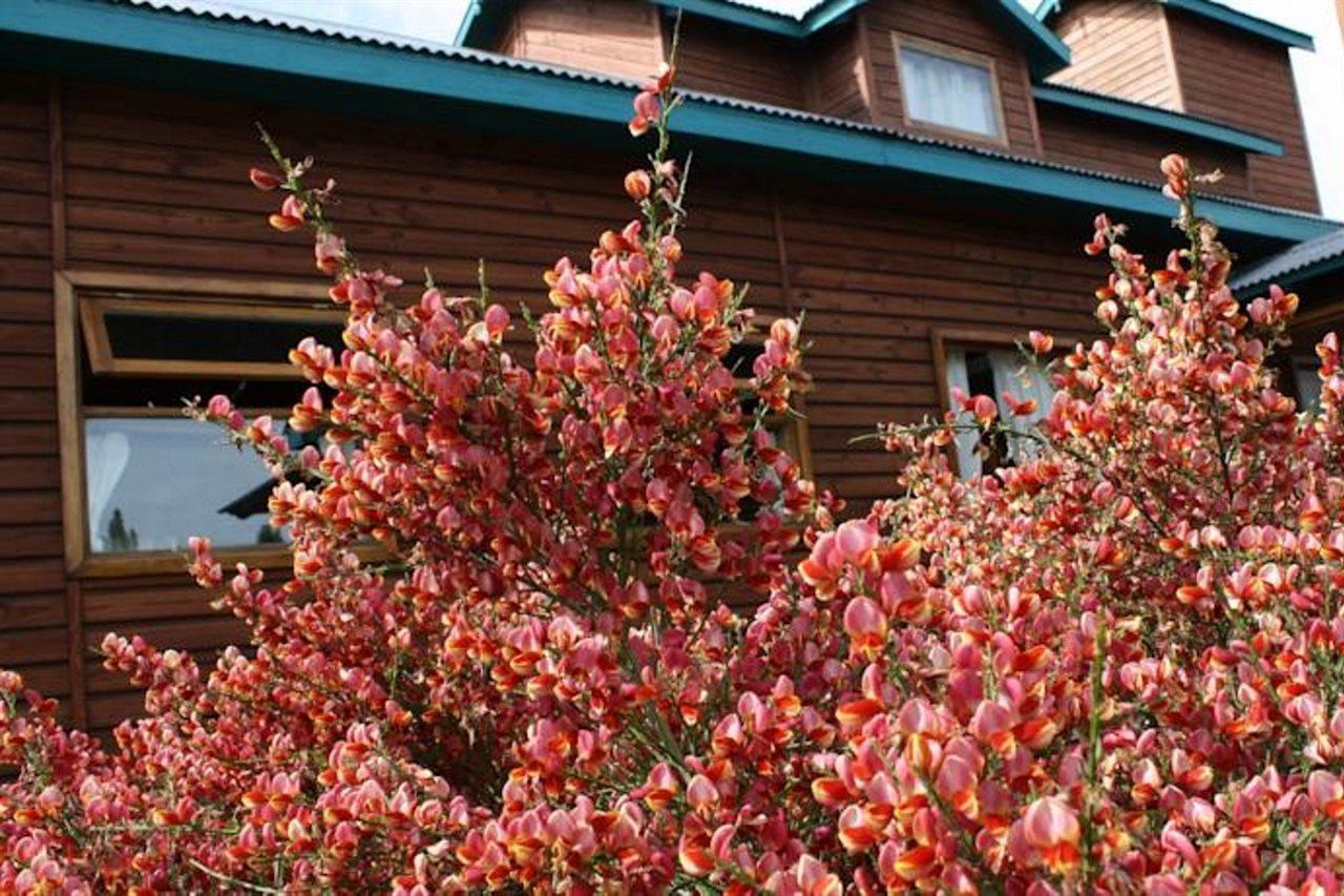 Hosteria Hainen El Calafate Exterior foto